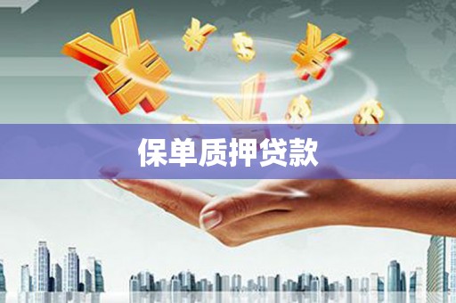 陕西保单质押贷款