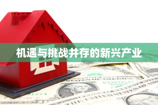 陕西机遇与挑战并存的新兴产业