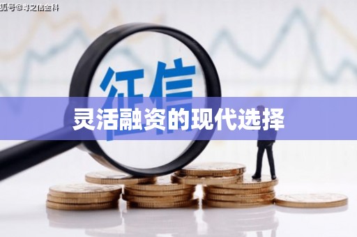陕西灵活融资的现代选择