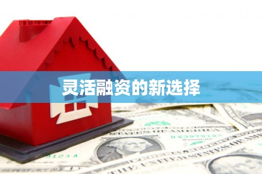 陕西灵活融资的新选择