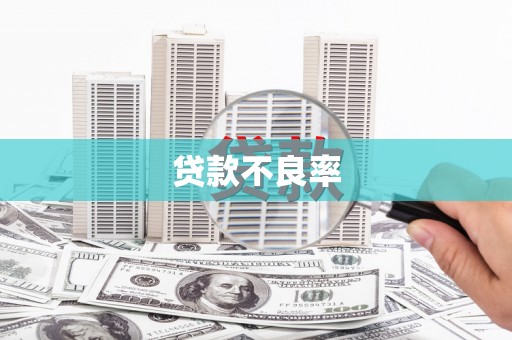 陕西贷款不良率
