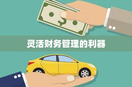陕西灵活财务管理的利器