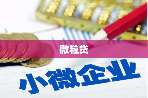 陕西微粒贷