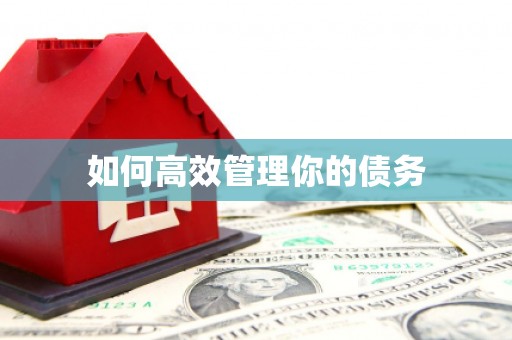 陕西如何高效管理你的债务