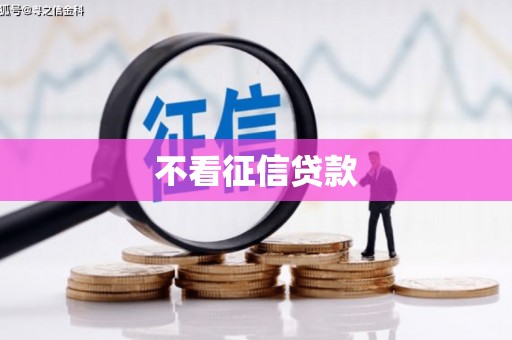 陕西不看征信贷款