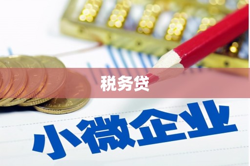 陕西税务贷