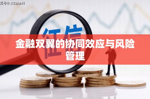 陕西金融双翼的协同效应与风险管理