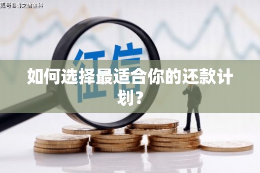 陕西如何选择最适合你的还款计划？